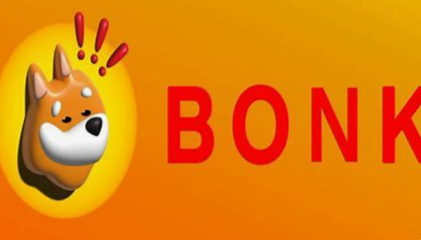 Bonk Coin Price Prediction: What to Expect in 2025